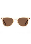 [Champagne + Rue Tortoise Polarized]