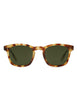 Hawksbill Polarized