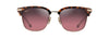 [Maui Rose® Lenses, Shiny Dark Havana With Gold Frame]