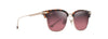 [Maui Rose® Lenses, Shiny Dark Havana With Gold Frame]