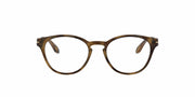 Satin Brown Tortoise