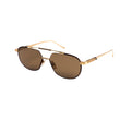 18k Gold / Tortoise (Brown Lens)