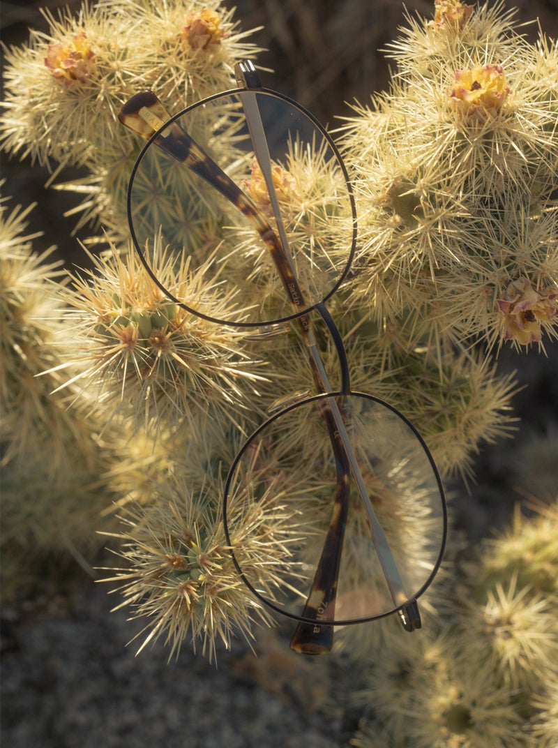 [Satin Japanese Gold Cosmos Tortoise / Clear]