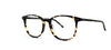 Brooklyn Colin - Specs Eyewear