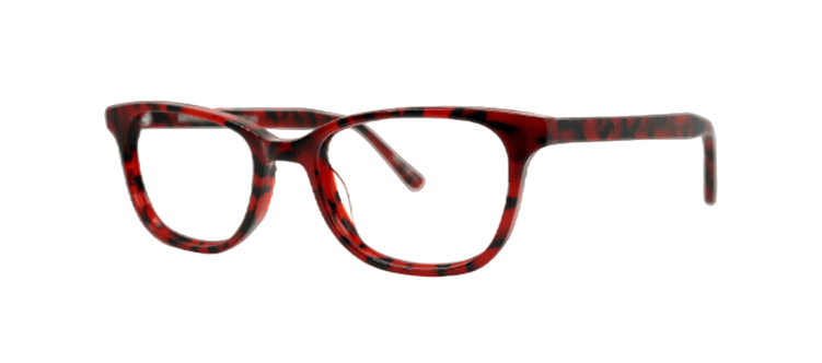 Brooklyn ELLERY - Specs Eyewear