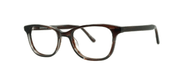 Brooklyn ELLERY - Specs Eyewear