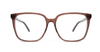 Brooklyn GRACE - Specs Eyewear