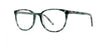 Brooklyn Kay - Specs Eyewear