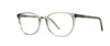 Brooklyn Kay - Specs Eyewear