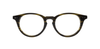 Brooklyn LITTLE KENT - Specs Eyewear