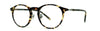 Brooklyn Lynch - Specs Eyewear