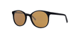 Brooklyn Marion Sun - Specs Eyewear