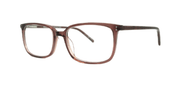 Brooklyn MELROSE - Specs Eyewear