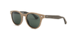 Brooklyn Monti Sun - Specs Eyewear