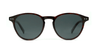 Brooklyn Morris Sun - Specs Eyewear