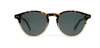 Brooklyn Morris Sun - Specs Eyewear