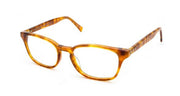 Brooklyn The Thinker - Specs Eyewear