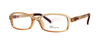 Brooklyn TRLS 08 - Specs Eyewear