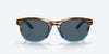 Costa Aleta 580P - Specs Eyewear