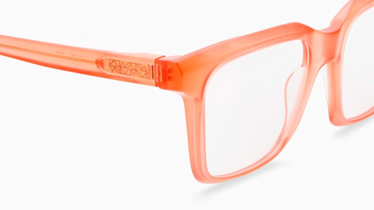 Etnia Barcelona AGAR - Specs Eyewear