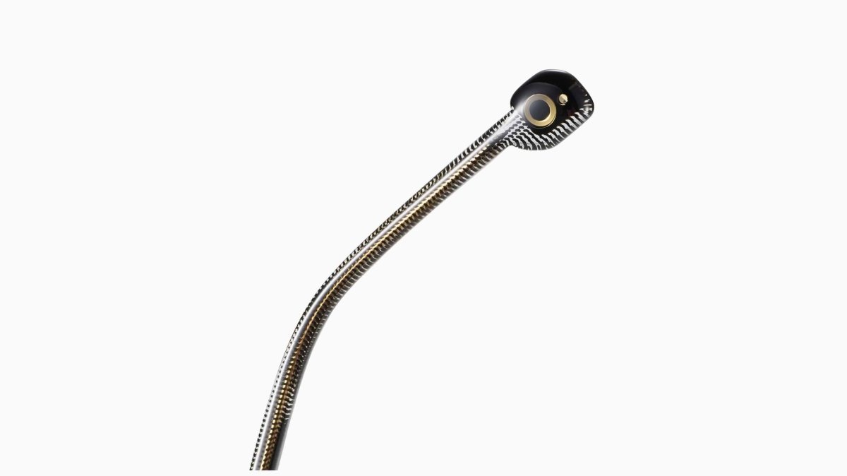 Etnia Barcelona AMMA - Specs Eyewear