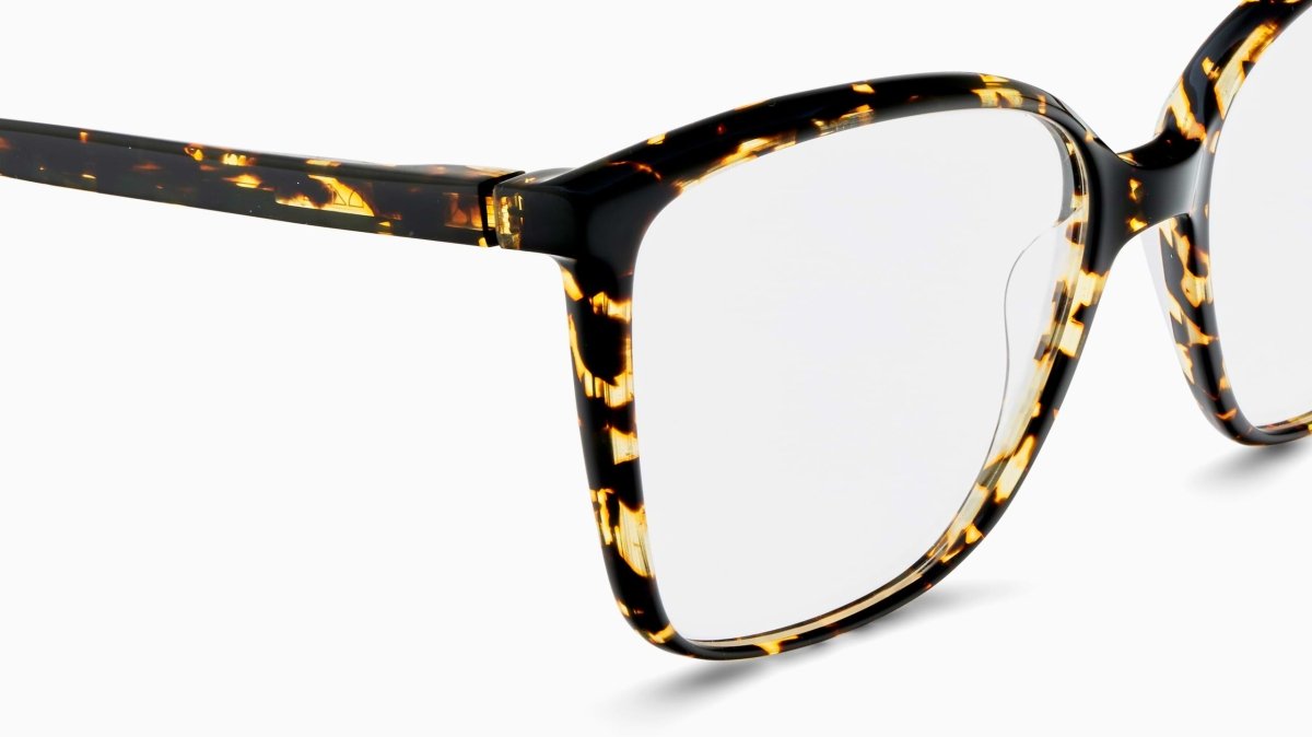 Etnia Barcelona ANCORA - Specs Eyewear