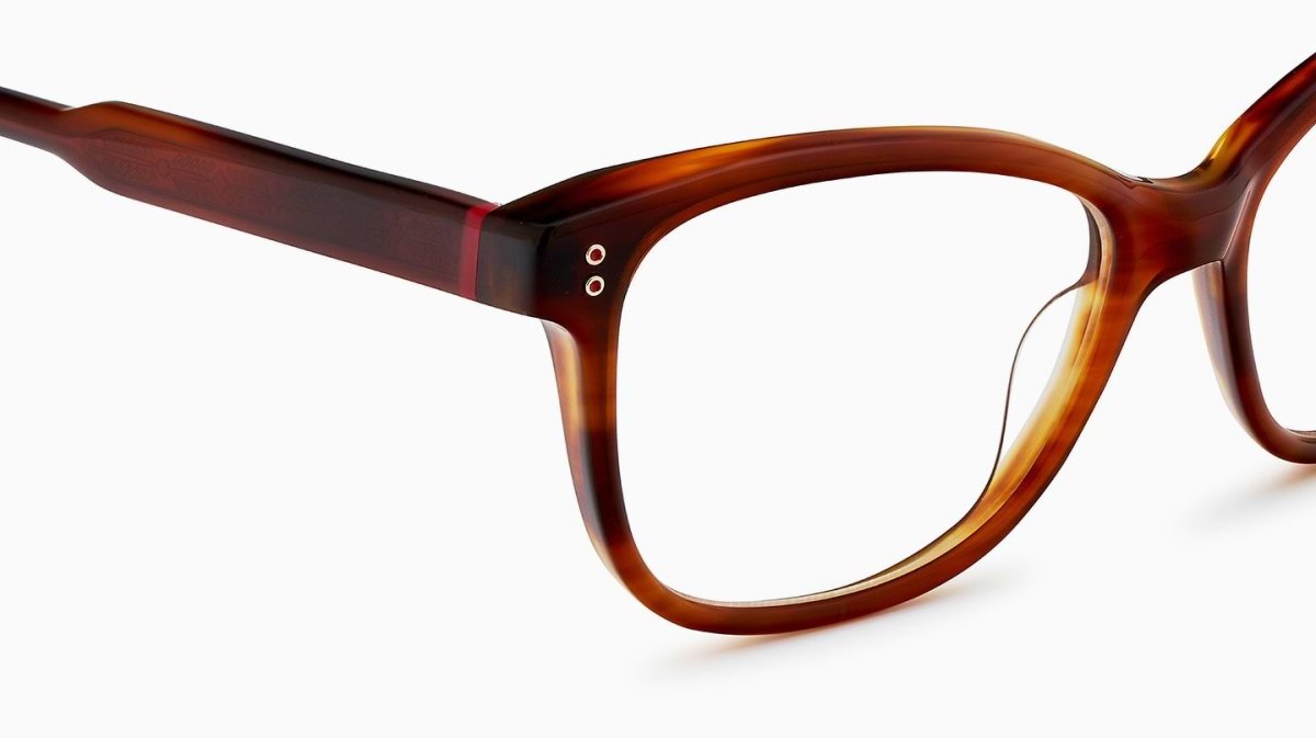 Etnia Barcelona BACALL - Specs Eyewear