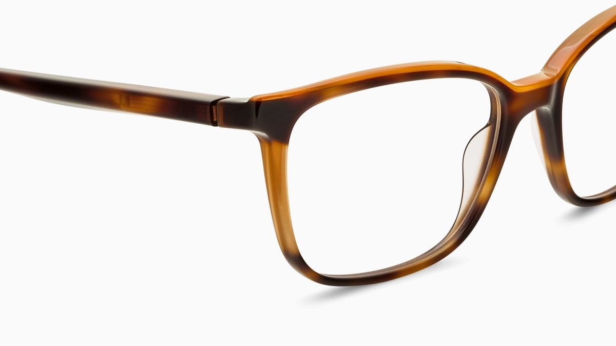 Etnia Barcelona BAYONA - Specs Eyewear