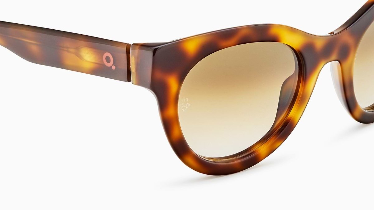 Etnia Barcelona BRUTAL NO.08 SUN - Specs Eyewear