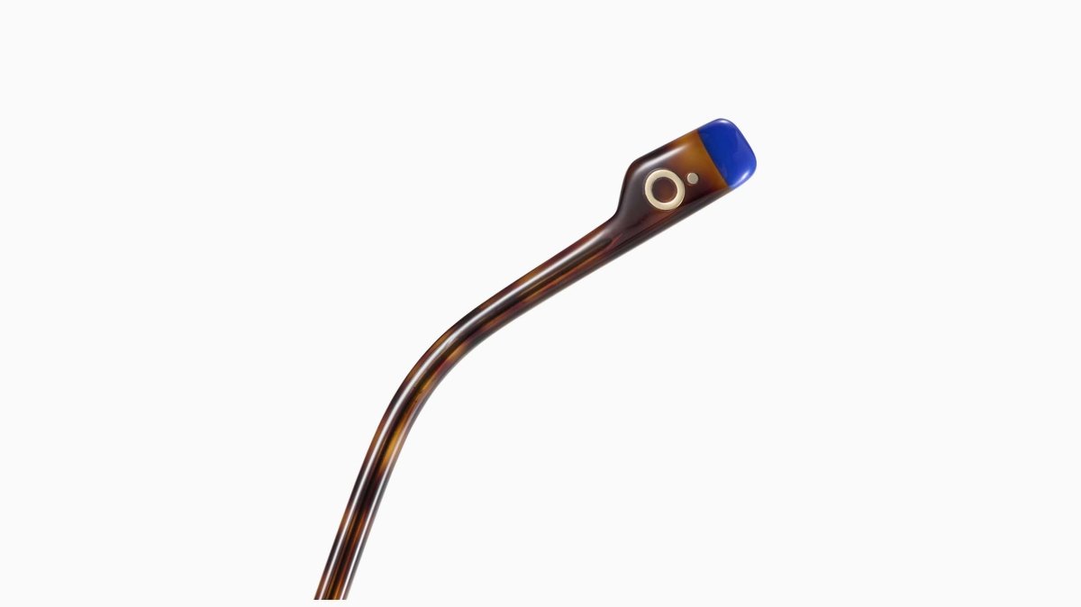 Etnia Barcelona CESC - Specs Eyewear