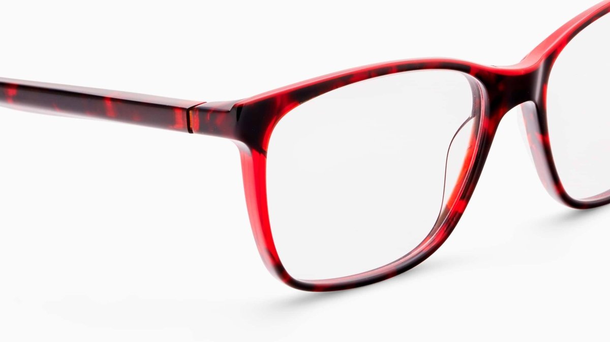 Etnia Barcelona CONSTANZA - Specs Eyewear