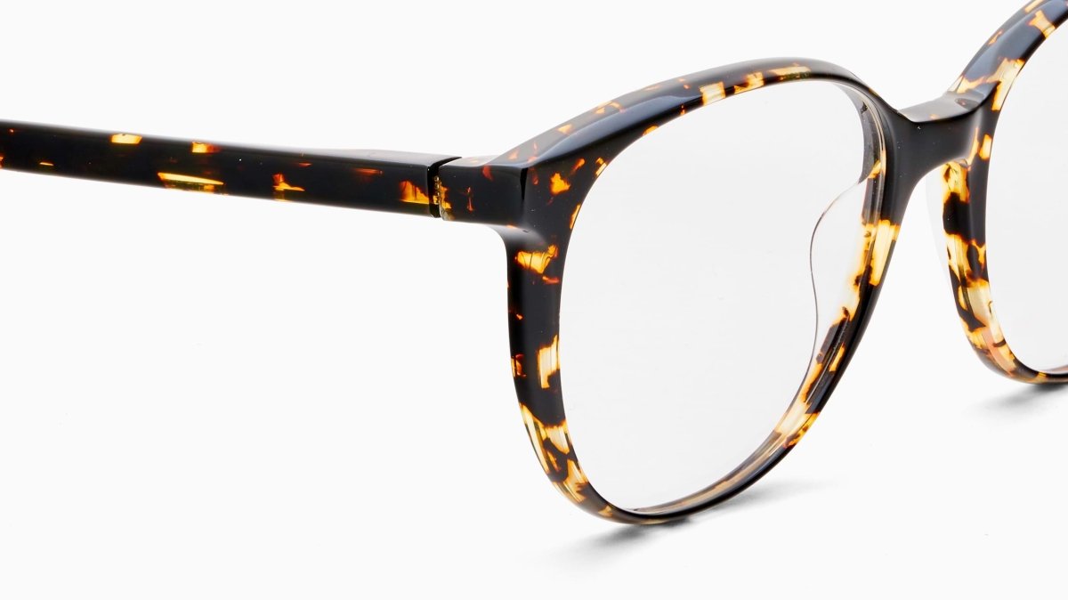 Etnia Barcelona CORAL - Specs Eyewear