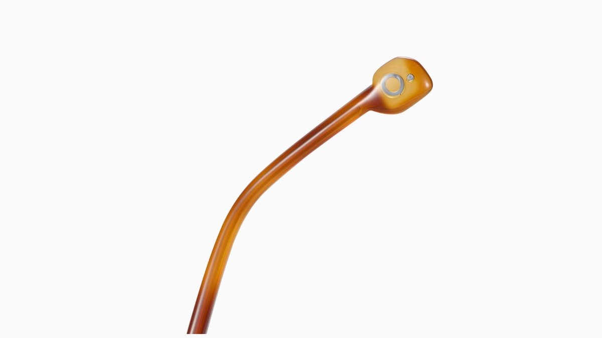 Etnia Barcelona EVE - Specs Eyewear