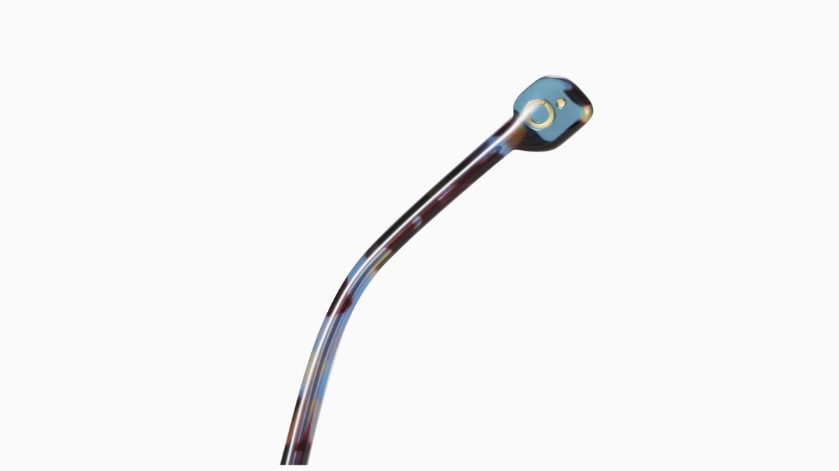 Etnia Barcelona IGGI - Specs Eyewear