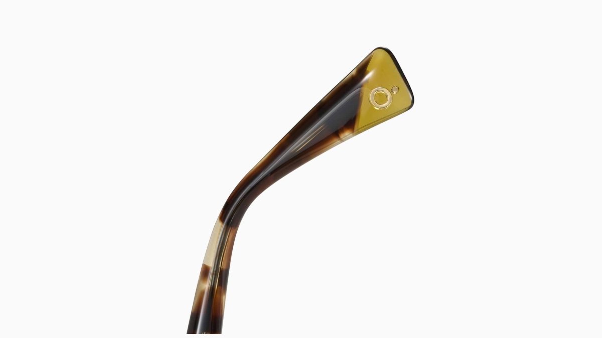 Etnia Barcelona KELLY - Specs Eyewear