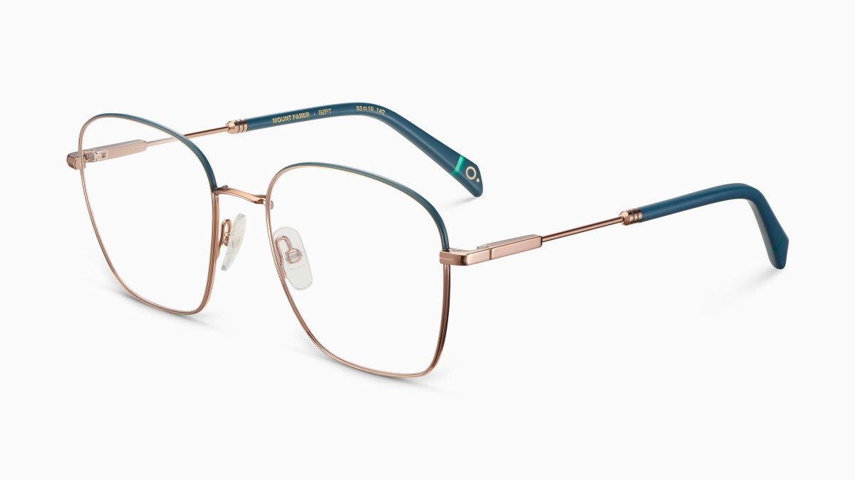 Etnia Barcelona MOUNT FABER - Specs Eyewear