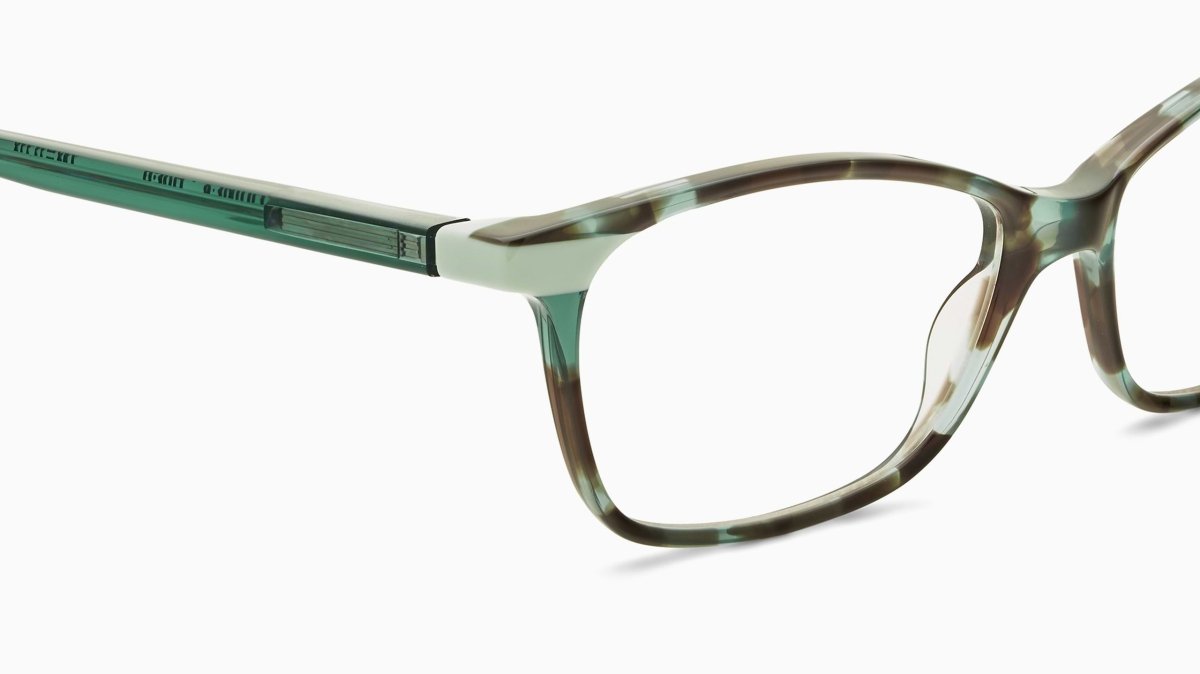 Etnia Barcelona QUINCY - Specs Eyewear