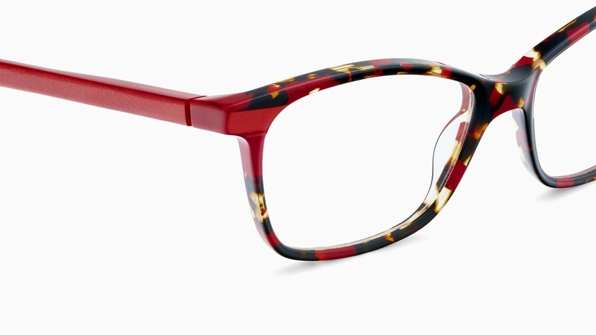 Etnia Barcelona QUINCY - Specs Eyewear