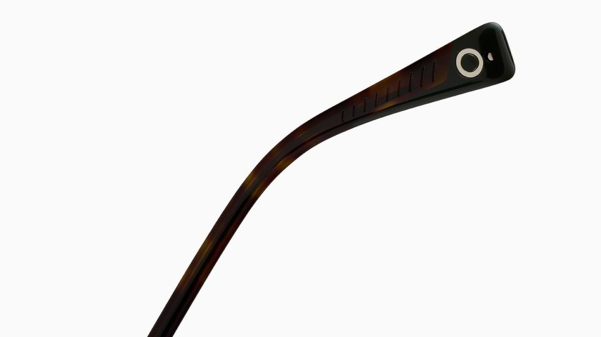 Etnia Barcelona RANGER - Specs Eyewear