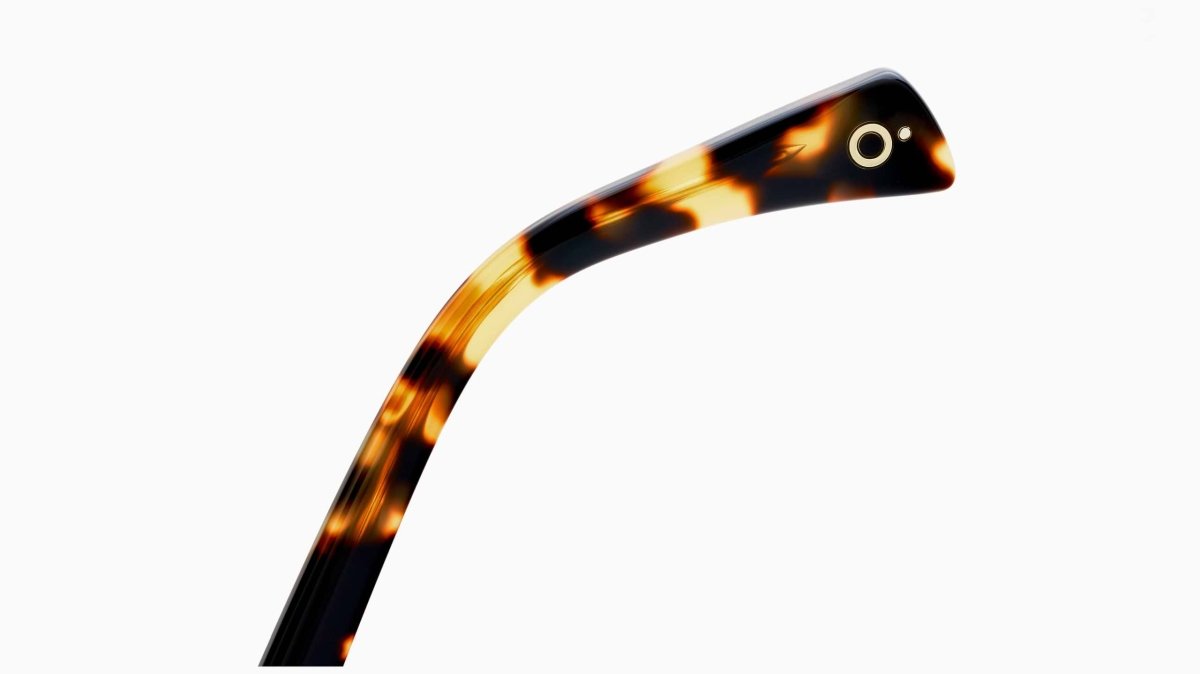 Etnia Barcelona TAYLOR - Specs Eyewear