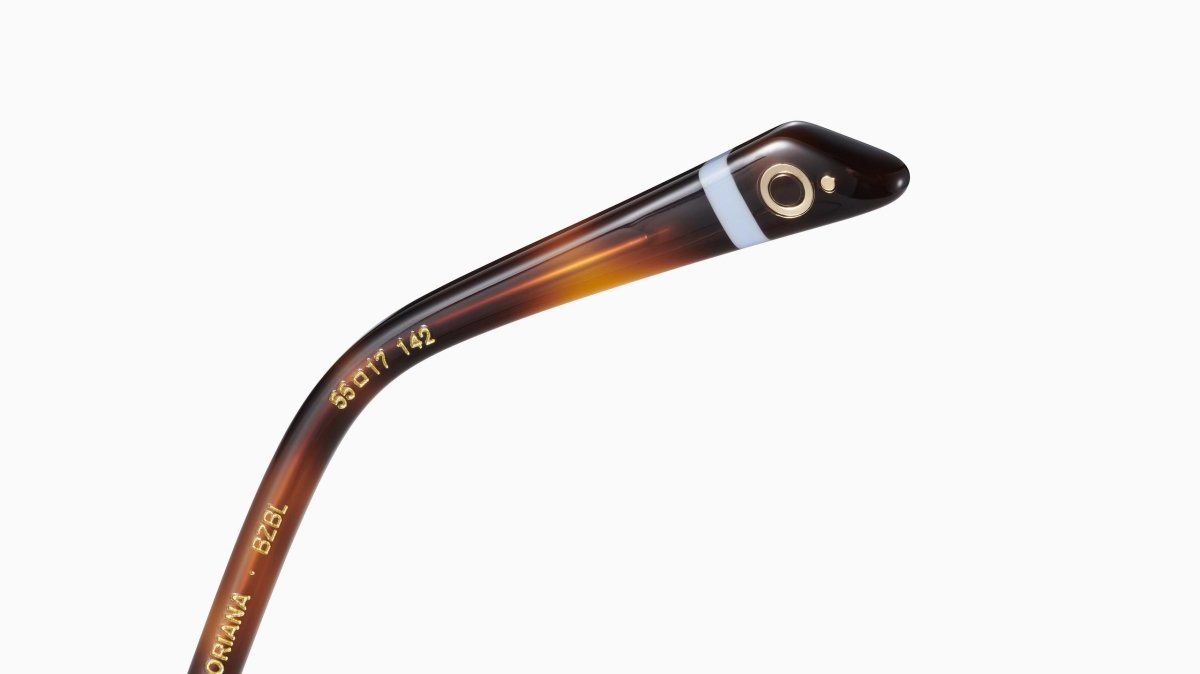 Etnia Barcelona VILLA GREGORIANA - Specs Eyewear