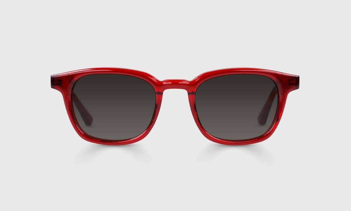 Eyebobs Shareholder Sunglasses - Specs Eyewear