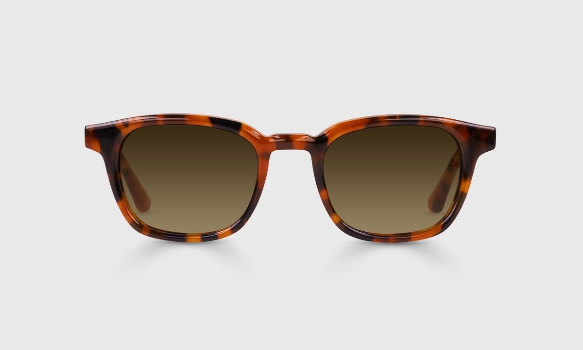 Eyebobs Shareholder Sunglasses - Specs Eyewear