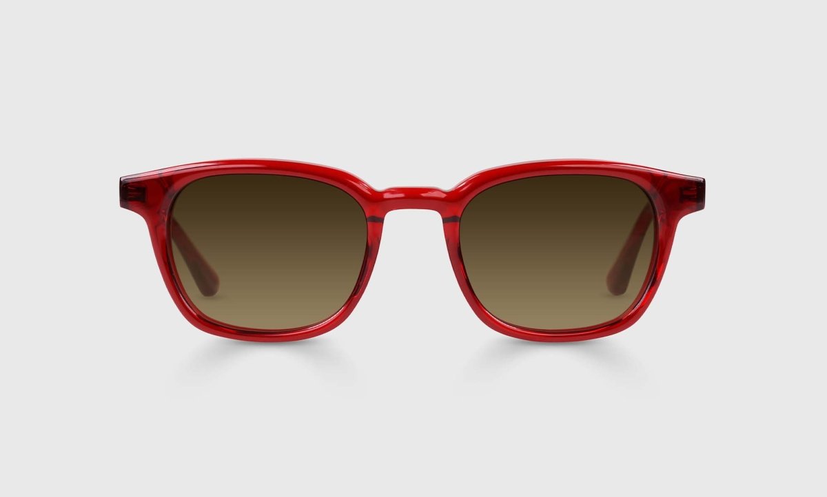 Eyebobs Shareholder Sunglasses - Specs Eyewear