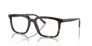 Clear Lenses, Polished Havana Frame