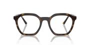 Clear Lenses, Polished Havana Frame