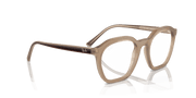 Clear Lenses, Polished Tortledove Frame