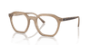 [Clear Lenses, Polished Tortledove Frame]