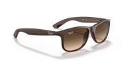 Brown Gradient Lenses, Matte Brown Frame