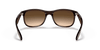 [Brown Gradient Lenses, Matte Brown Frame]